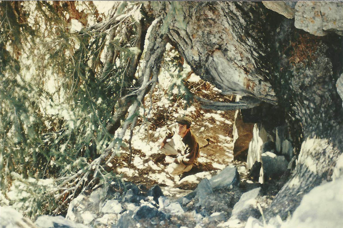 Jordi sous les branches d'un épicéas